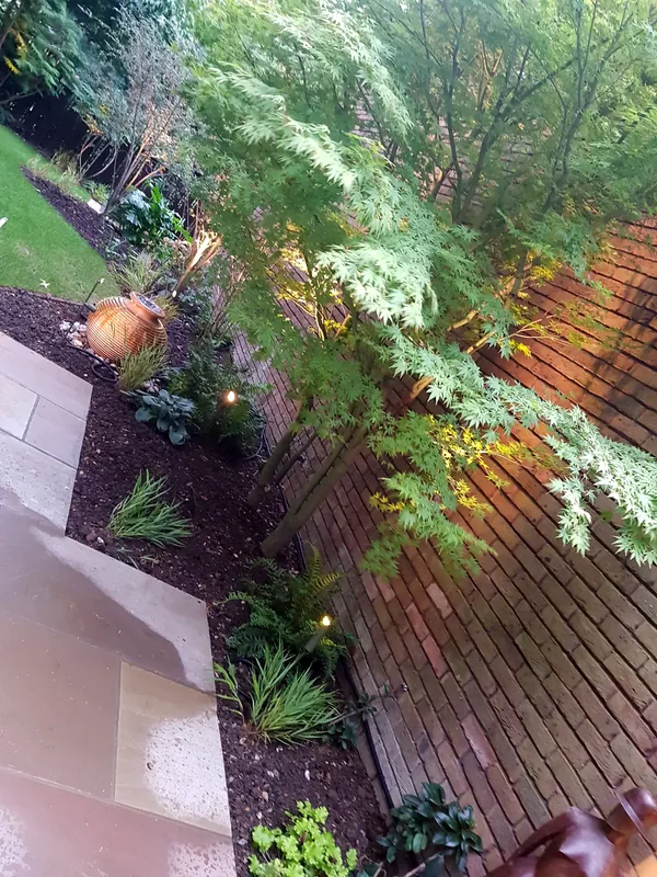 Garden decking: Small LED spotlights in the decking and planting