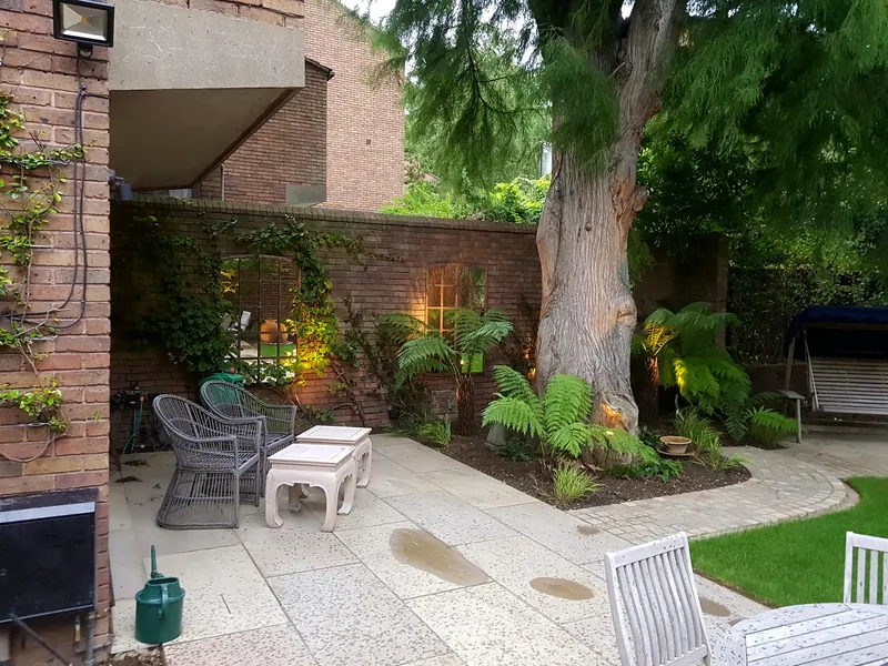 Garden: Uplighters around the tree, planting and patio